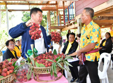 อธิบดีกรมส่งเสริมสหกรณ์ ลงพื้นที่เยี่ยมชมแปลงลิ้นจี่ ... พารามิเตอร์รูปภาพ 21